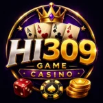 HI309 Game